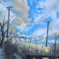 telephone poles behind marshy field